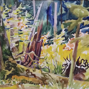 Splash of Sun – Olympic Forest. Watercolor on Paper