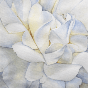 Shades of White Watercolor