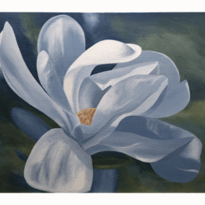 Magnolia #2, Full Frame