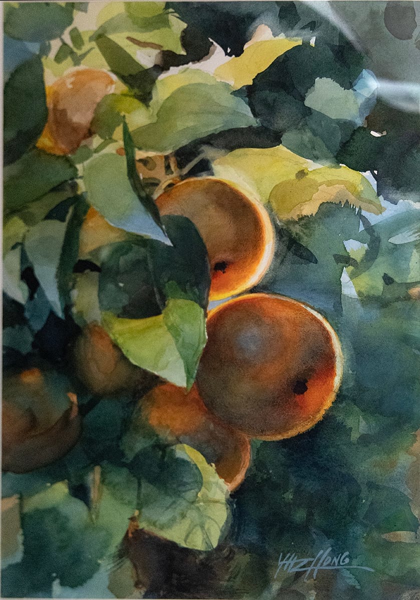 Yong Hong Zhong artwork displaying beautiful asian pears.